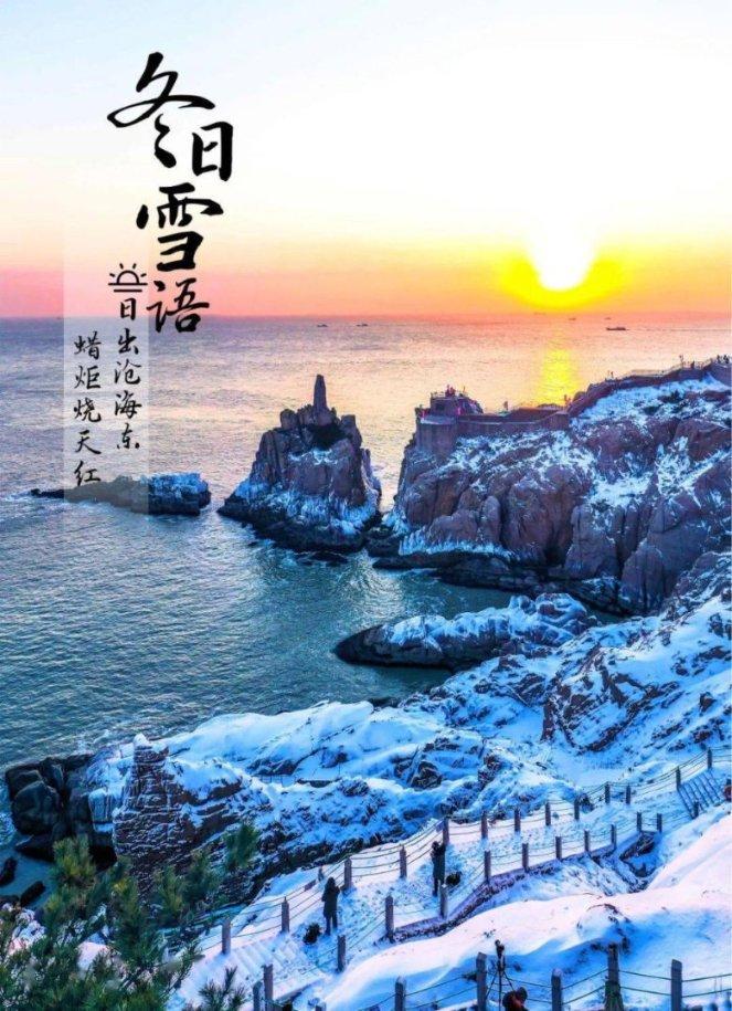 细胞分裂4
