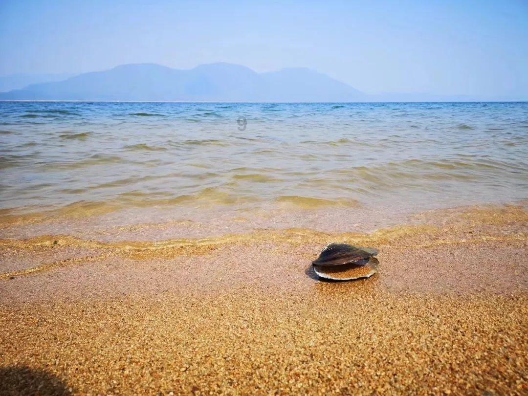 按点连线